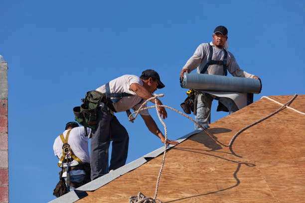 Best Commercial Roofing Services  in Sunray, TX