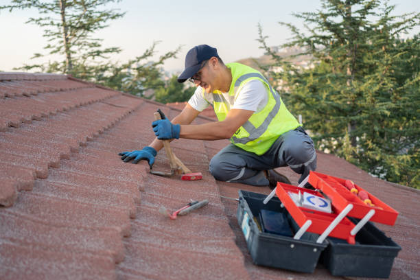 Best Storm Damage Roof Repair  in Sunray, TX